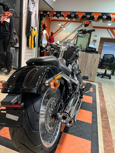Imagen 3 de 8 de Harley Davidson Fat Boy 114