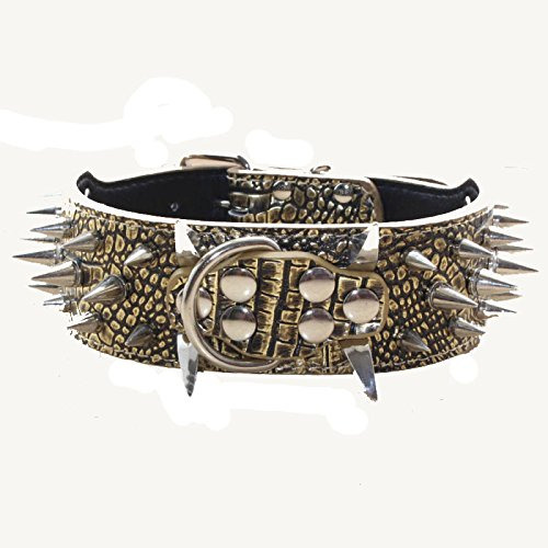 Collar De Perro De Cuero Con Remaches Afilados De 2
