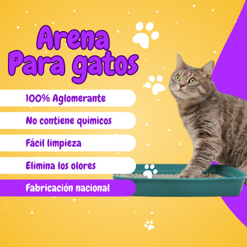 Arena De Gatos