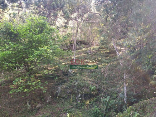 Imagem 16 de 21 de Chácara Com 2 Dormitórios À Venda, 19000 M² Por R$ 640.000,00 - Zona Rural - São Bento Do Sapucaí/sp - Ch0904