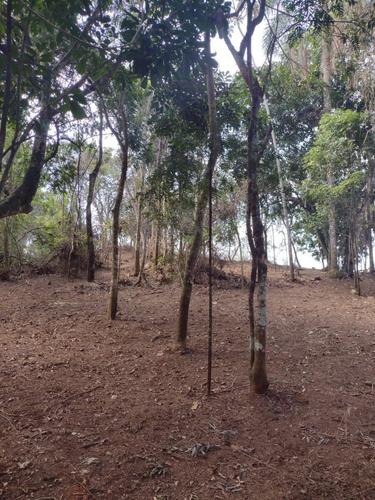 Imagem 1 de 14 de D20- Lotes Em Santa Isabel 1.000m2 Apenas 60mil A Vista
