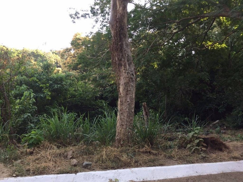 Imagen 11 de 12 de Excelente Terreno En Venta En La Peninsula De Las Hadas