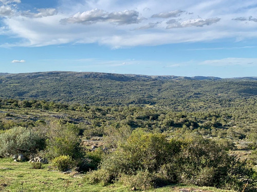 Quinta En Venta - Monoambiente En Aiguá (ref: Bpv-7831)