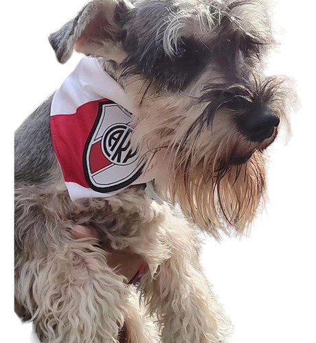 Bandanas De River / Boca Para Perros Y Gatos Talle Xs