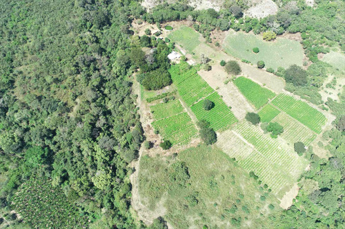 Imagen 21 de 30 de Finca Agrícola Santa Fe De Antioquia, Vereda El Tunal - Se Vende