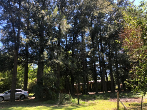 Quinta En Venta - 3 Dormitorios 1 Baño - Cochera - 7.872mts2 - Punta Indio