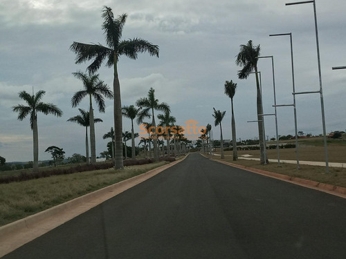 Imagem 3 de 6 de Terreno Em Condomínio À Venda, Centro, Paranapanema/sp - 5083