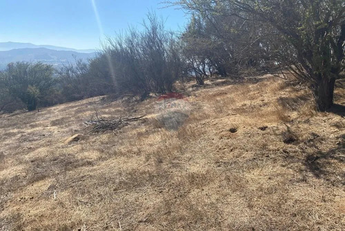 Terreno En Venta Hacienda Los Aromos,valle Nativo