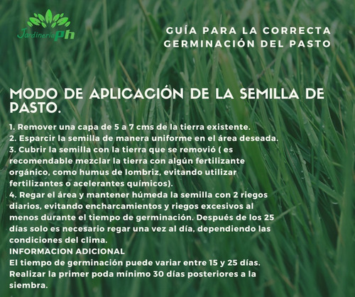Semilla De Pasto Mezcla Germinaplus Clima Templado 5kg 200m2