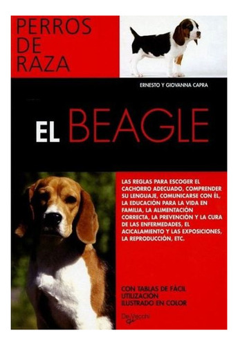 El Beagle - Perros De Raza