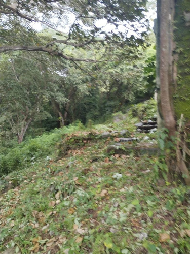 ¡oportunidad! Venta De Terreno Residencial En Majagual De Veracruz