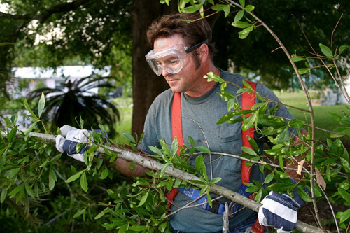 Imagen 5 de 7 de Lentes De Seguridad Proteccion Transparente Trabajo