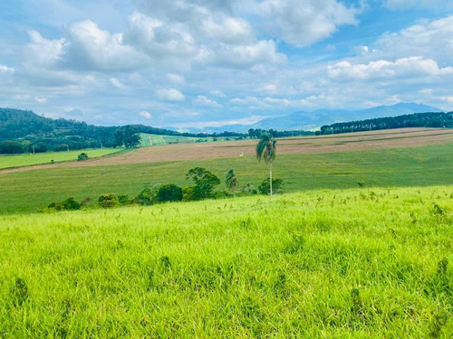 Imagem 12 de 14 de M48- Aproveite Já Esse Grande Lançamento De Terreno