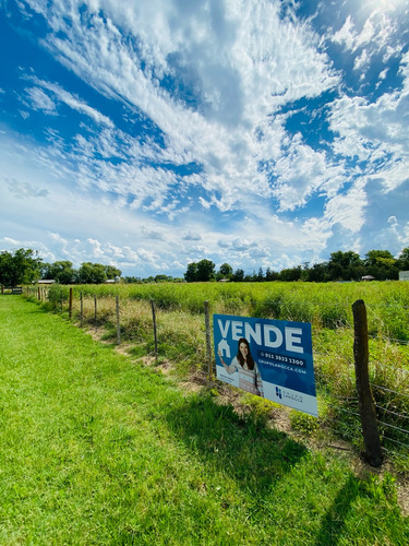 Terreno En Pedernales