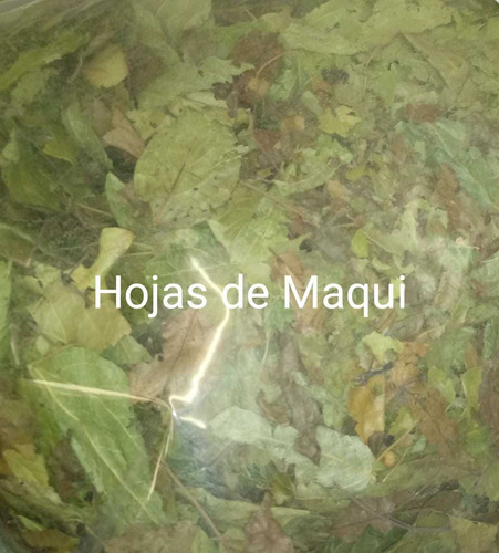 Maqui Hojas 1 Kilo 100% Natural (Usado)