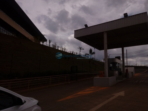 Terreno - Te00502 - 69008607