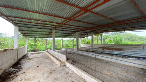 Imagen 15 de 25 de Jd. Se Vende Hermosa Finca En San Antonio De Caparo