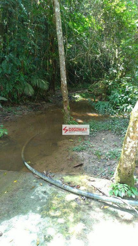 Imagem 11 de 26 de Chácara Juquitiba Com Nascente, Rio - Ch0006