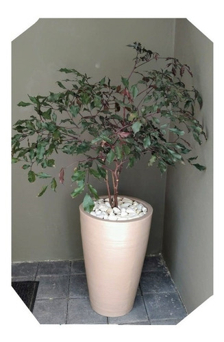 Maceta Decorativa De Plástico M045 Pompeya Beige
