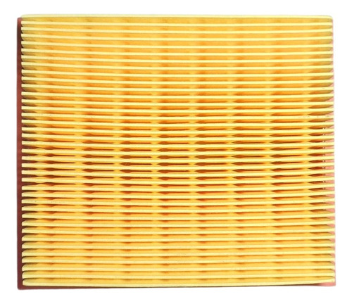 Filtro Aire Pprotech Honda Xr125 / Um Dsr