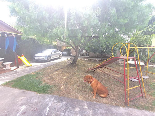 Venta Casa 3 Dormitorios Barbacoa Sur - El Pinar