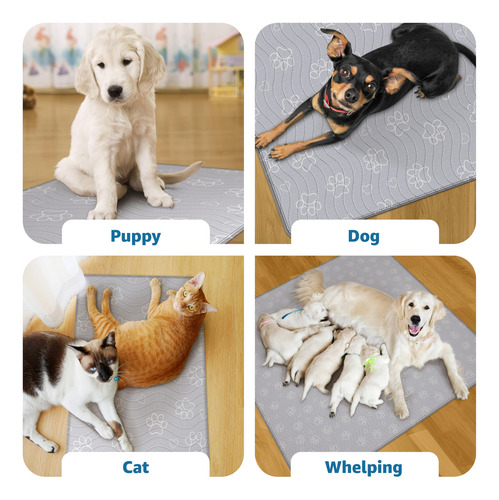 Almohadillas Reutilizables Para Cachorros Improvia® 2, Imper