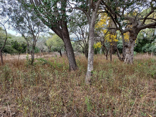 Lote Cercano Al Dique Sobre Asfalto