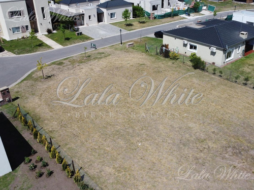 Imagen 1 de 13 de Lote En Santa Ines - Canning