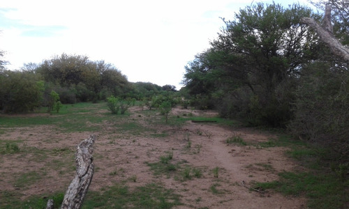 Imagen 8 de 8 de Campo De 431 Ha En Concaran.a 1.500 Metros Del Pueblo.