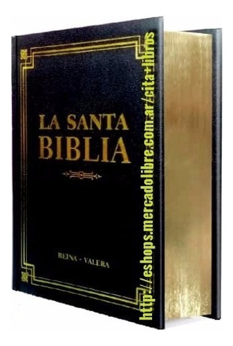 La Santa Biblia Reina Valera 1960 Letra Grande Grupo Clasa