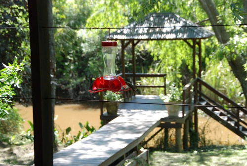 Imagen 8 de 8 de Lote 12.000 M2. En Isla Del Tigre Urge Venta- Oportunidad!