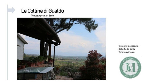 Imagem 15 de 17 de Propriedade Produtora De Vinho, Azeite E Trufas, Com 74 Hectares Em Galdo Cataneo. - Fa00002 - 34159856