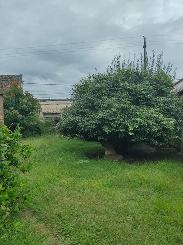 Imagen 5 de 6 de Casa - Gualeguay