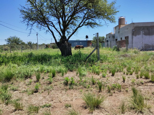 Terreno En Noguera Y Alcorta, Colonos Pampeanos