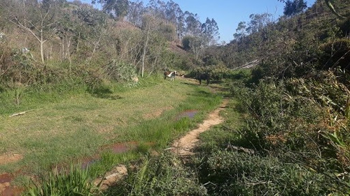 Imagem 4 de 17 de Linda Sitio Em Caçapava Com Ótimo Acesso A Via Dutra - Ar0010