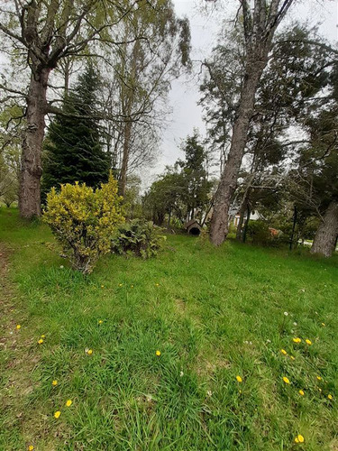 Parcela Con Casa En Venta En Nontelua Comuna De Futrono