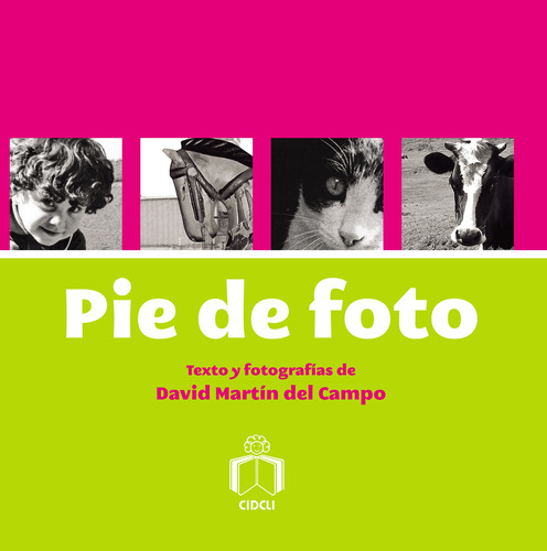 Pie de foto, de del Campo, David Martín. Serie Libros de arte Editorial Cidcli, tapa blanda en español, 2012
