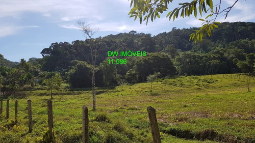 Imagem 5 de 30 de Juquiá/sitio Com Pupunha/ Pasto E 05 Lagos Para Pesqueiro - 04857 - 34121206