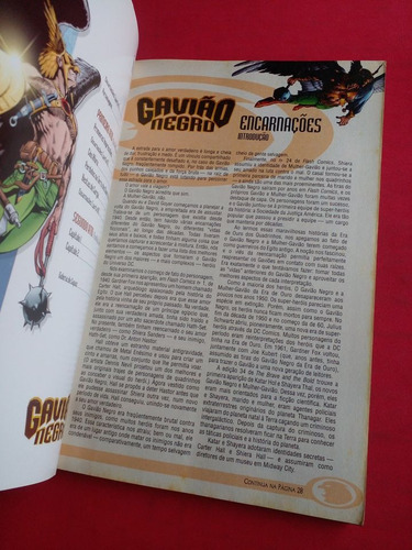 Hq Dc Especial Nº 2 Gavião Negro Editora Panini Liga Da Justiça Sja (Usado)