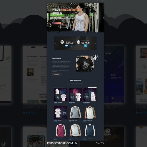 Diseño De Páginas Web Y Tiendas Online +app +hosting Gratis