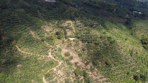 Imagen 22 de 22 de Finca En Venta Sevilla - Caicedonia