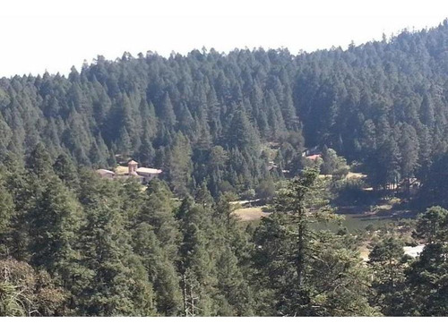 Imagen 11 de 12 de Terreno En Venta Mineral Del Monte Centro