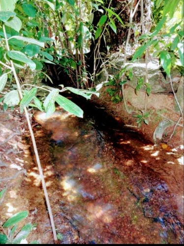 Imagem 12 de 13 de Fazenda De Dupra Aptidão Grão E Gado 250 Hectares Unaí 6.00.000,00 - 40140