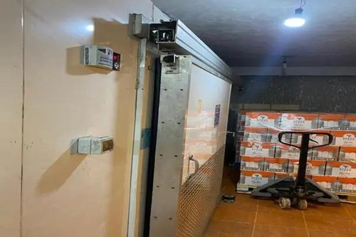 Rento Bodega Con Camara De Refrigeracion Para 90 Toneladas Con 2 Departamentos