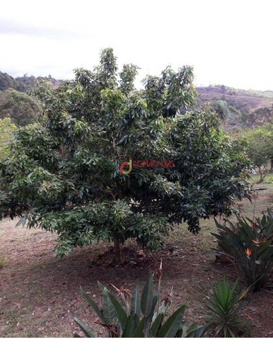 Imagem 2 de 30 de Linda Chácara Em Itu - Sp Com 4.000 M2 - Ch0001