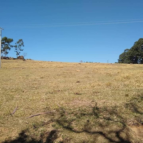 Imagem 8 de 26 de Fazenda 62 Alqueires, Sem Benfeitorias, Rica Em Água Com Lago E Nascentes, Pasto, Excelente Para Criação De Gados, Topografia Semi Plano - Fa00218 - 70653398