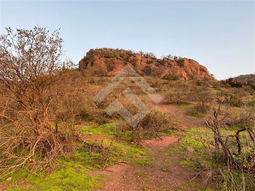 Terreno Para Construcción En Venta, Colina