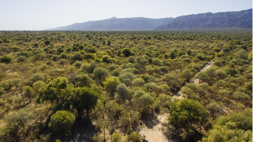 Imagen 11 de 18 de Campo - La Aguadita