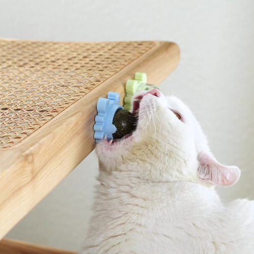 Bola de pelota Catnip Cat Herb Ball Lambe, interactiva, color azul cangrejo