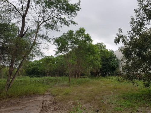 Imagen 6 de 12 de Terreno En Venta En Rincon De Casa Blanca